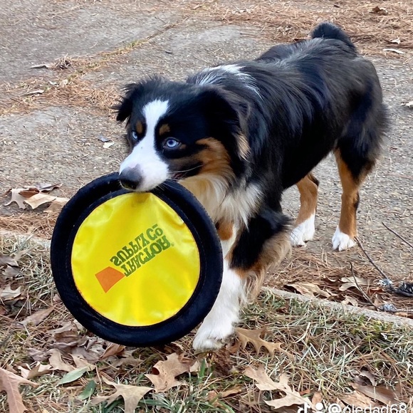 Meet your Posher, Jeff - Picture 7 of 7